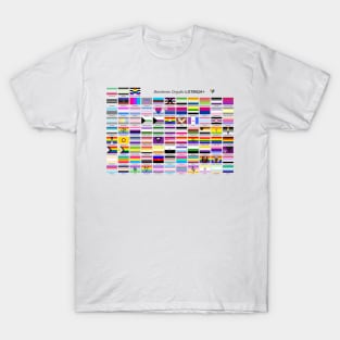 lgbtqia+ pride flags in Spanish T-Shirt